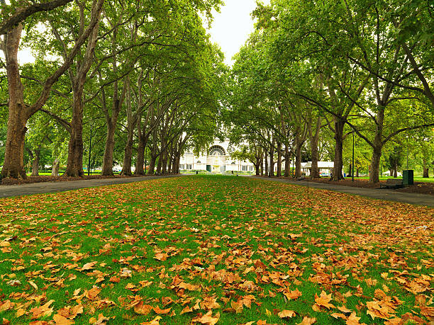 Autumn Park