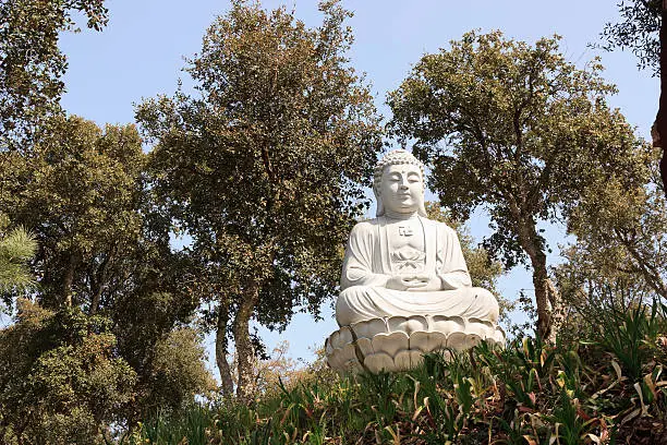 Marble buddha statue exhibited in an public garden agaisnt woods
