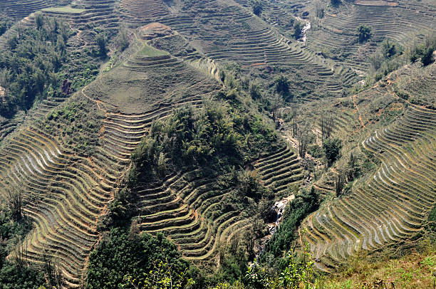 istock Rice fields in Sapa - Vietnam 177094644