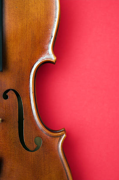 violin stock photo