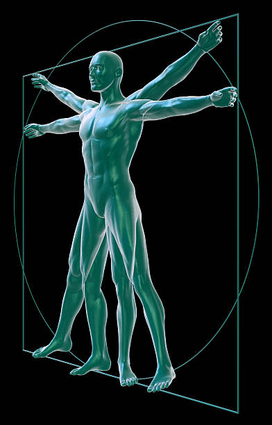 istock Vitruvian man on black, three-quarter view 177095101