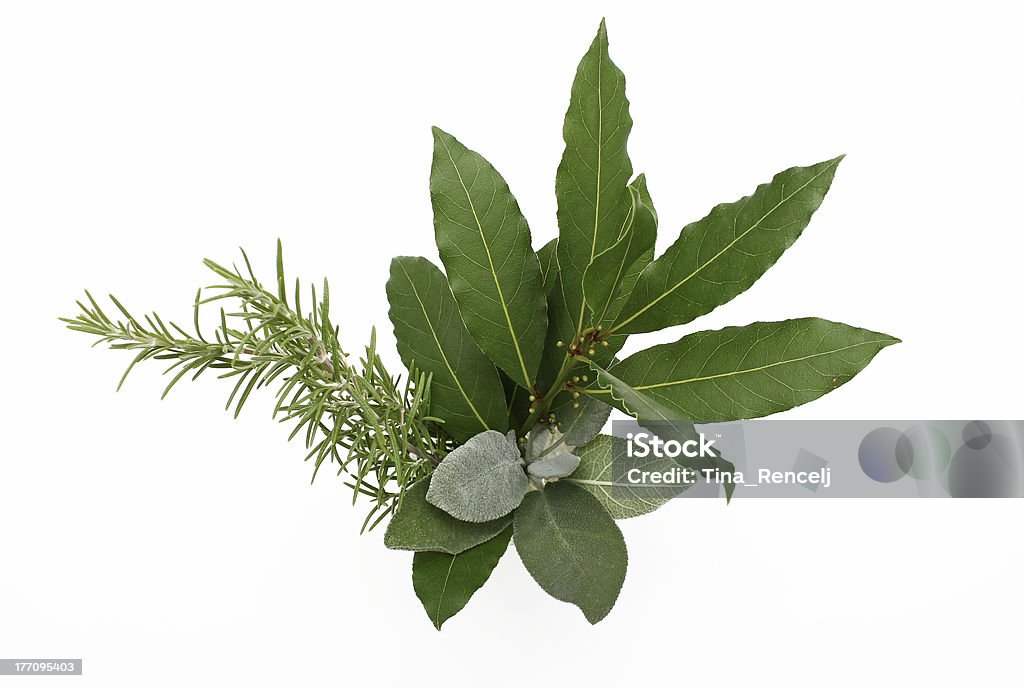 Spezie mediterranea - Foto stock royalty-free di Alloro