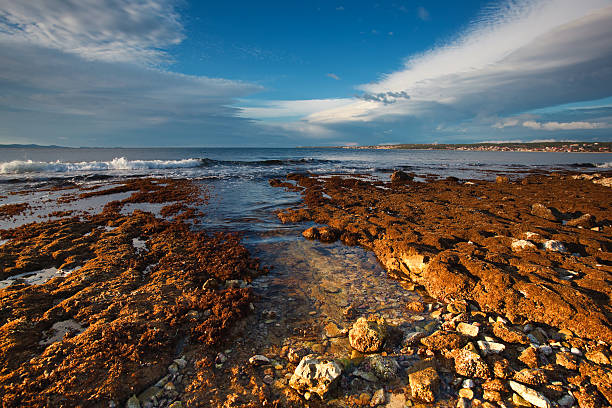 istock view of seashore near Zadar 177095676
