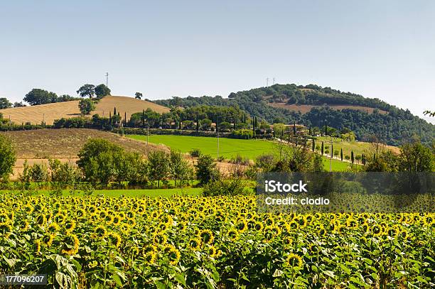 Paisaje De Toscana Maremma Foto de stock y más banco de imágenes de Aire libre - Aire libre, Ajardinado, Amarillo - Color