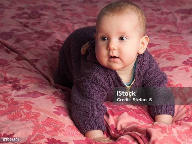 아기 Handknitted 파자마 0-11 개월에 대한 스톡 사진 및 기타 이미지 - 0-11 개월, 2-5 개월, 갈색 눈