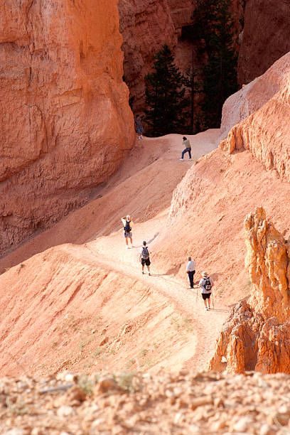 istock Hikers on Queens Garden trail, Bryce Canyon 177096323