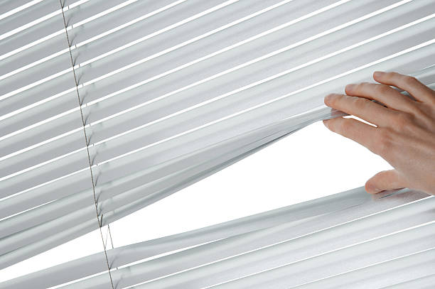 istock Female hand opening venetian blinds 177096325