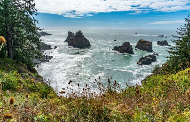 istock Oregon Land Sea Formations 3 1770966574