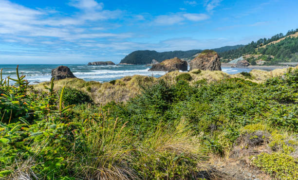 istock Oregon Meyers Creek Beach 4 1770966589