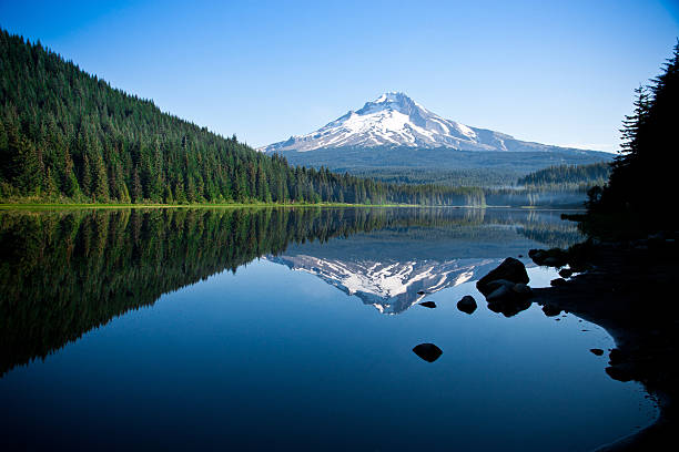 Beautiful Mountain Reflection in Lake Mt. Hood reflected in a lake. mt hood stock pictures, royalty-free photos & images