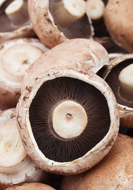 istock Portabello mushrooms 177097044