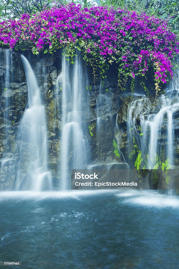 Waterfall Lush Waterfall in Hawaii,  Long exposure used to blur and soften water. Backgrounds Stock Photo