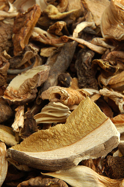 dried mushrooms stock photo