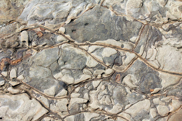 ocean rock formation - san diego california usa travel point loma photos et images de collection