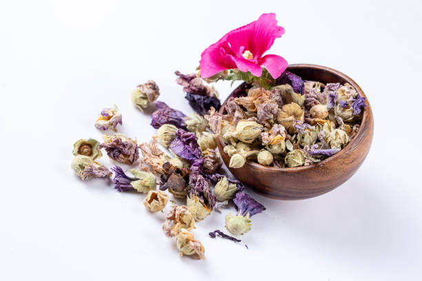 istock Dried Althaea officinalis on the white background 1770991828
