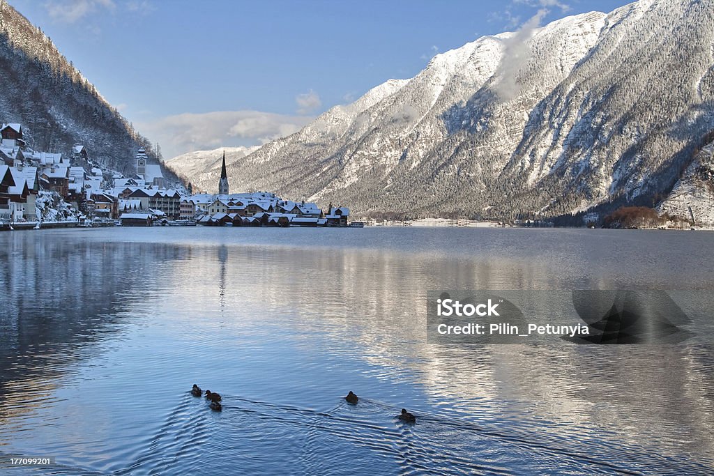 Cold lake no inverno nas montanhas cobertas de neve, Áustria - Foto de stock de Alpes europeus royalty-free