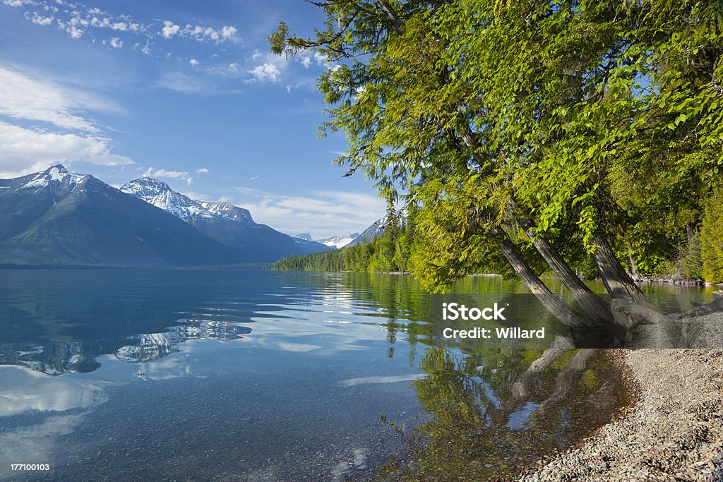 Lac McDonald dans le Parc National de Glacier - Photo de Arbre libre de droits