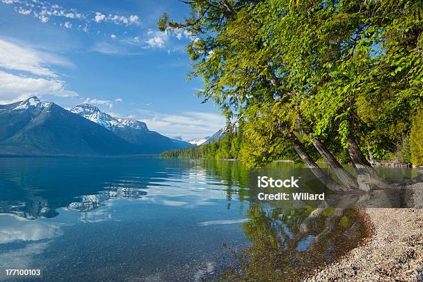 Photo libre de droit de Lac Mcdonald Dans Le Parc National De Glacier banque d'images et plus d'images libres de droit de Arbre - Arbre, Bleu, Couleur verte