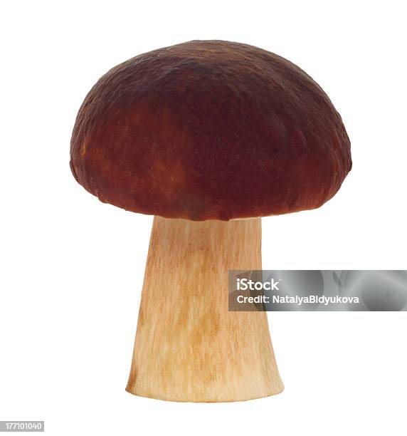 Fresh Mushroom Stock Photo - Download Image Now - Brown, Cut Out, Dieting