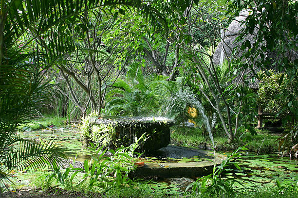 istock Tropical garden with fountain and pond 177101382