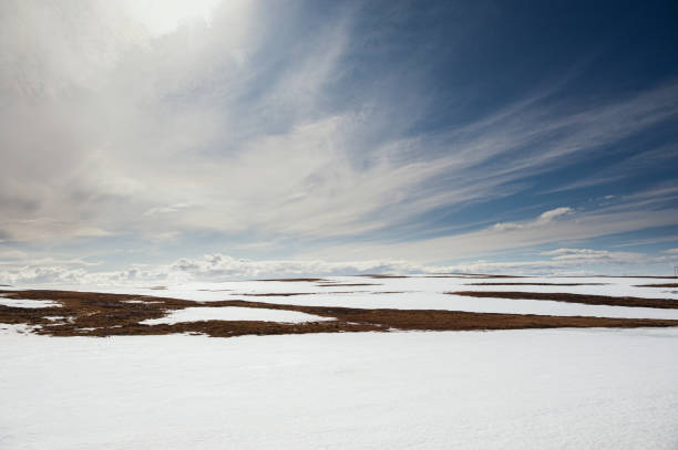 istock landscape inside the island of Mageroya, Norway 1771014281