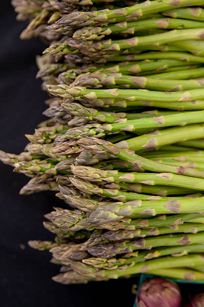 Freshly harvested organic asparagus spears with purple artichokes