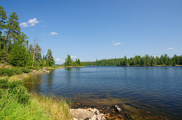 istock Summer in The North Woods 177102362
