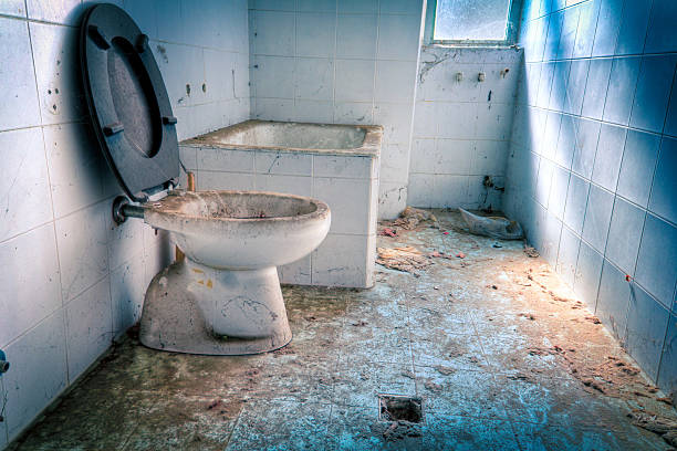istock Abandoned madhouse toilet HDR 177102786