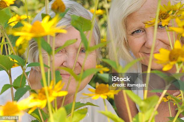 Mãe E Filha Em Flores - Fotografias de stock e mais imagens de 70 anos - 70 anos, Adulto, Adulto maduro