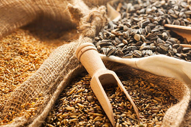 istock seeds and grains in burlap bags 177103178
