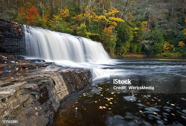 フッカーの秋の滝デュポント秋の紅葉の森国立公園 - ノースカロライナ州のストックフォトや画像を多数ご用意 - ノースカロライナ州, アッシュビル, 秋