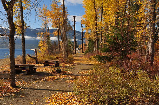 Fall Colors Fall colors in the park on a sunny day. kelowna-autumn stock pictures, royalty-free photos & images