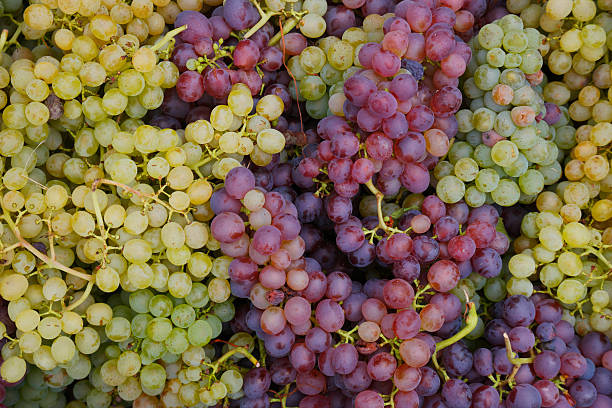 uva - grape red grape red farmers market foto e immagini stock