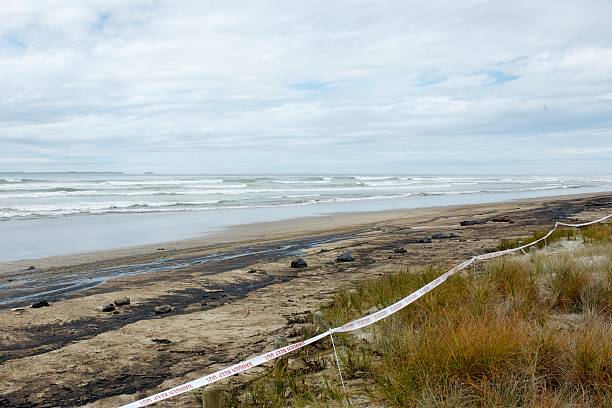 istock Rena oil spill 177104648
