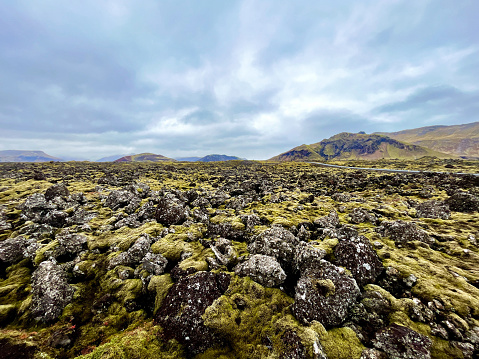 Mossy lava field in Iceland