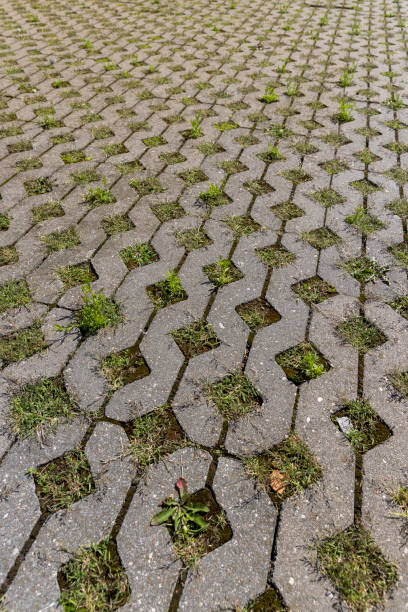 istock a modern concrete tile that allows plants to grow 1771053528