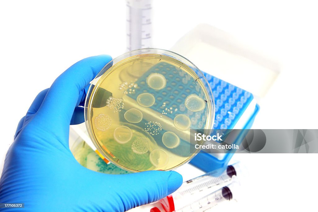Микроорганизмов в лаборатории - Стоковые фото Бактерия роялти-фри