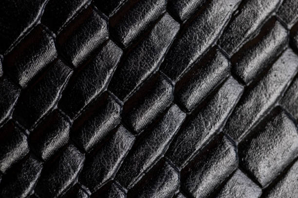 istock decorative decoration of black-colored leather 1771054074