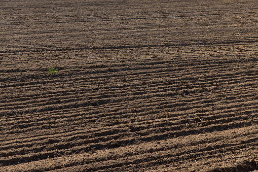 plowed soil in a field during preparation for sowing, an agricultural field in which the soil is plowed but nothing grows