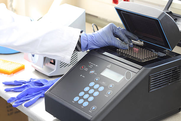 pcr - agarose imagens e fotografias de stock