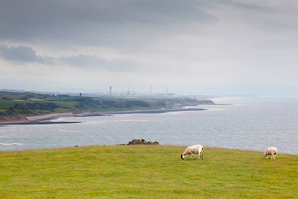 St Bees Head stock photo