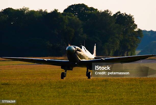 Spitfire Di Atterraggio - Fotografie stock e altre immagini di Aeroplano - Aeroplano, Ala di aeroplano, Albero