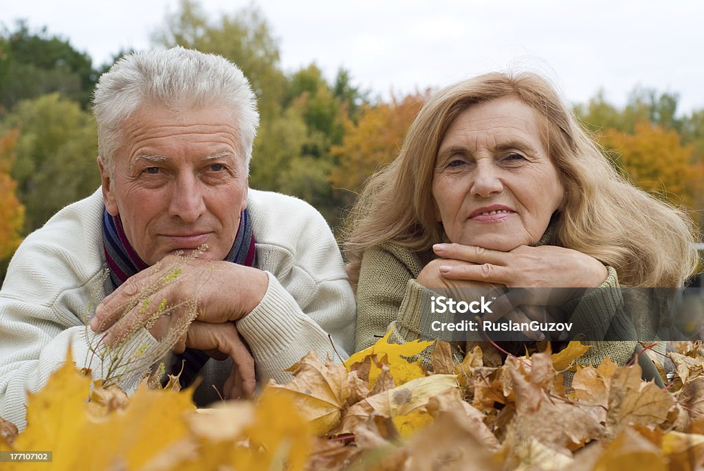 old couple in the park happy old couple posing at autumn park Autumn Stock Photo