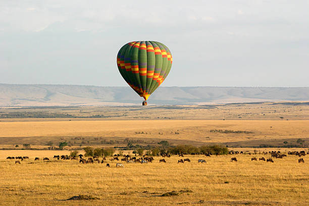Hot Air Balloon Over the Masai Mara stock photo