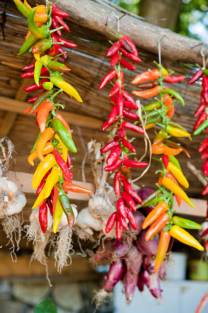istock Chili Peppers and Garlic hanging around 177107194
