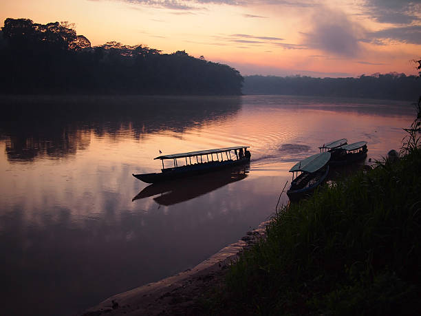 Amanecer de selva amazónica en barco - foto de stock