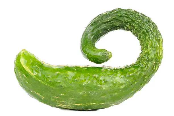 A curved chinese cucumber isolated on a white background