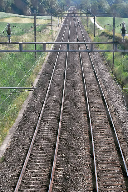 istock Railroad tracks seen through a protection fence grid 177108573
