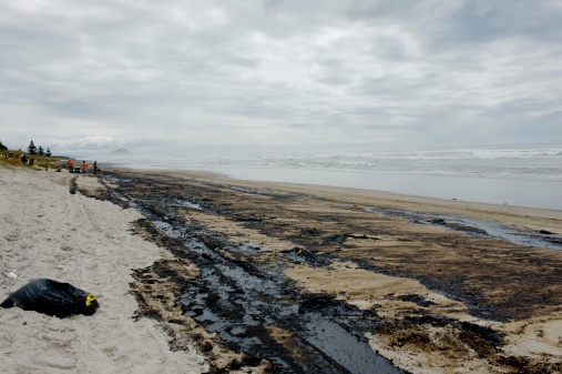 Environemtal disaster: oil covers Papamoa beach in New Zealand.