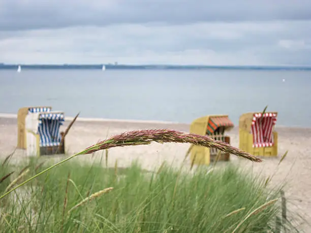 beachchairs east-sea